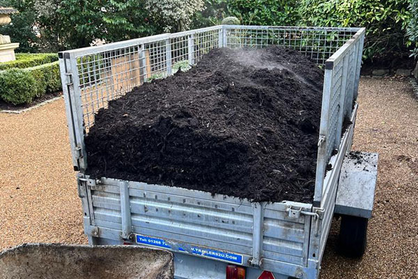 Composting Orpington