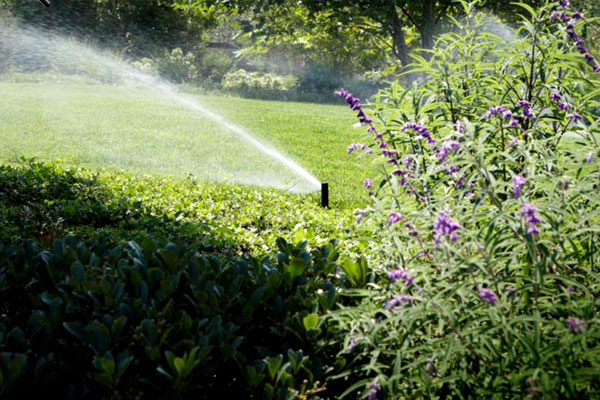 Micro Irrigation Orpington